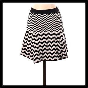 Aqua Black & White Zig Zag Mini Skater Skirt Med